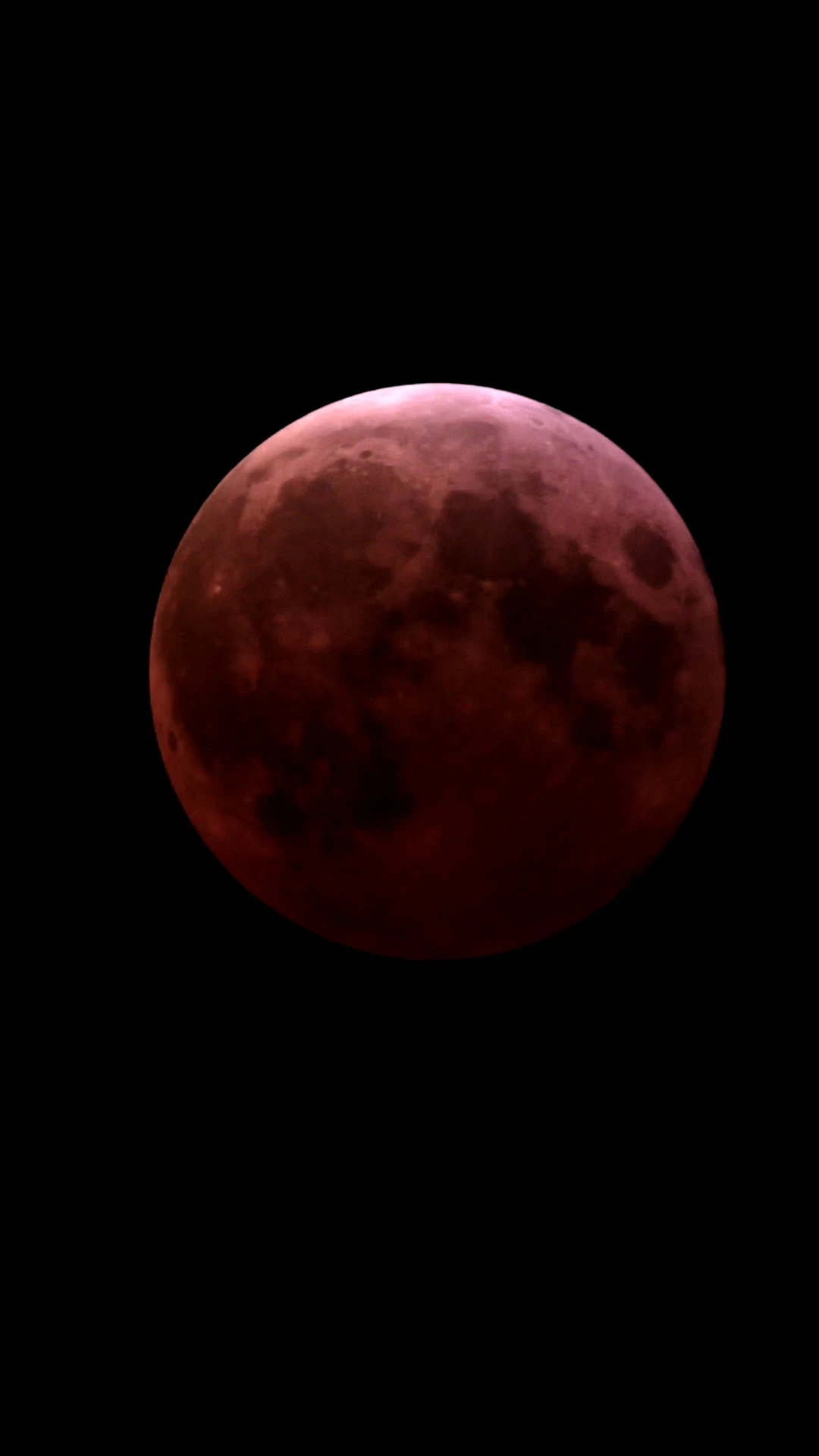 Astrophotograph of Lunar Eclipse by Sam Guber.