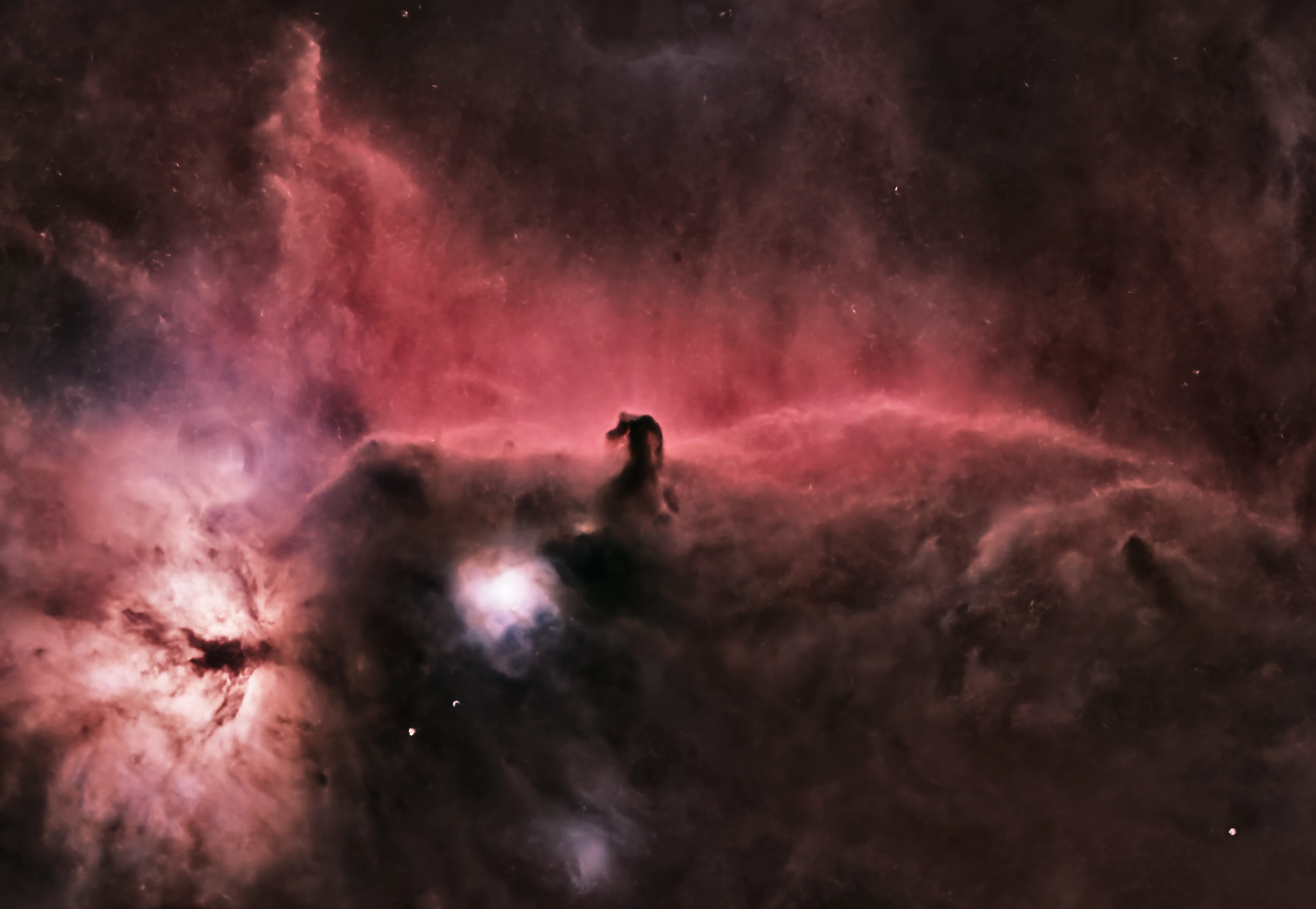 Astrophotograph of Horsehead Nebula by Sam Guber.