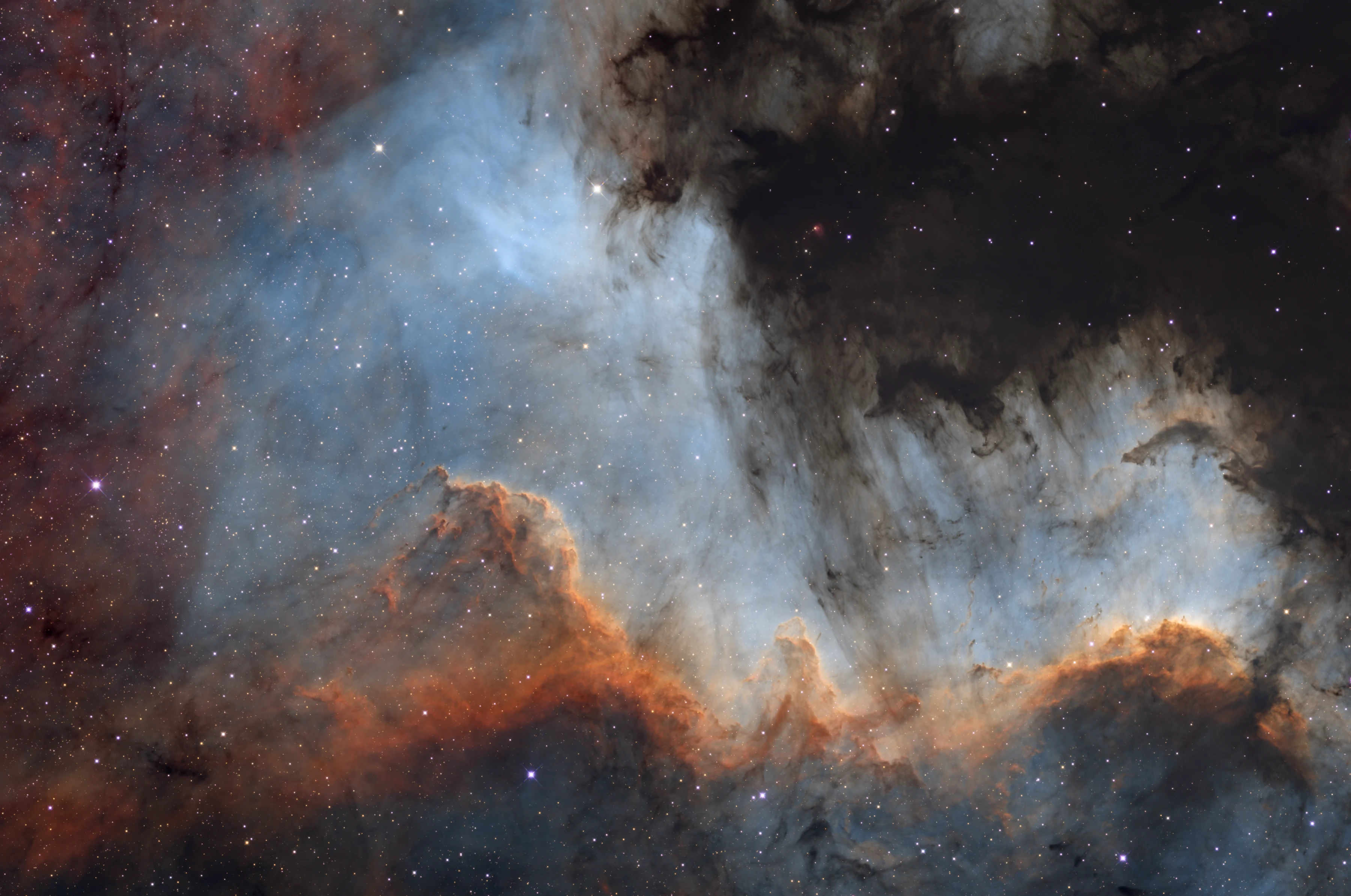 Astrophotograph of Cygnus Wall by Carter Thorbecke.
