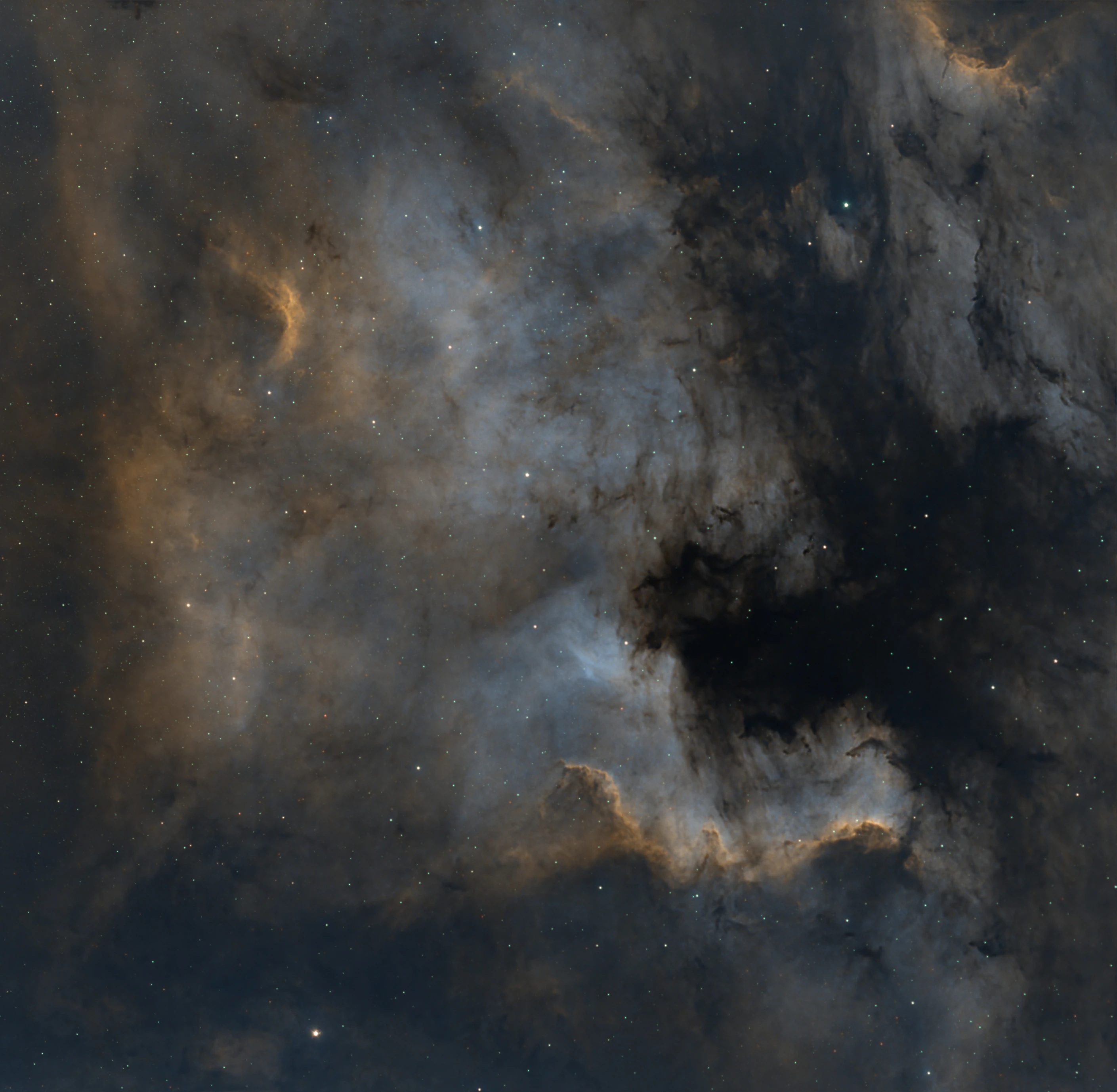Astrophotograph of North America Sho by Seth Parcell.
