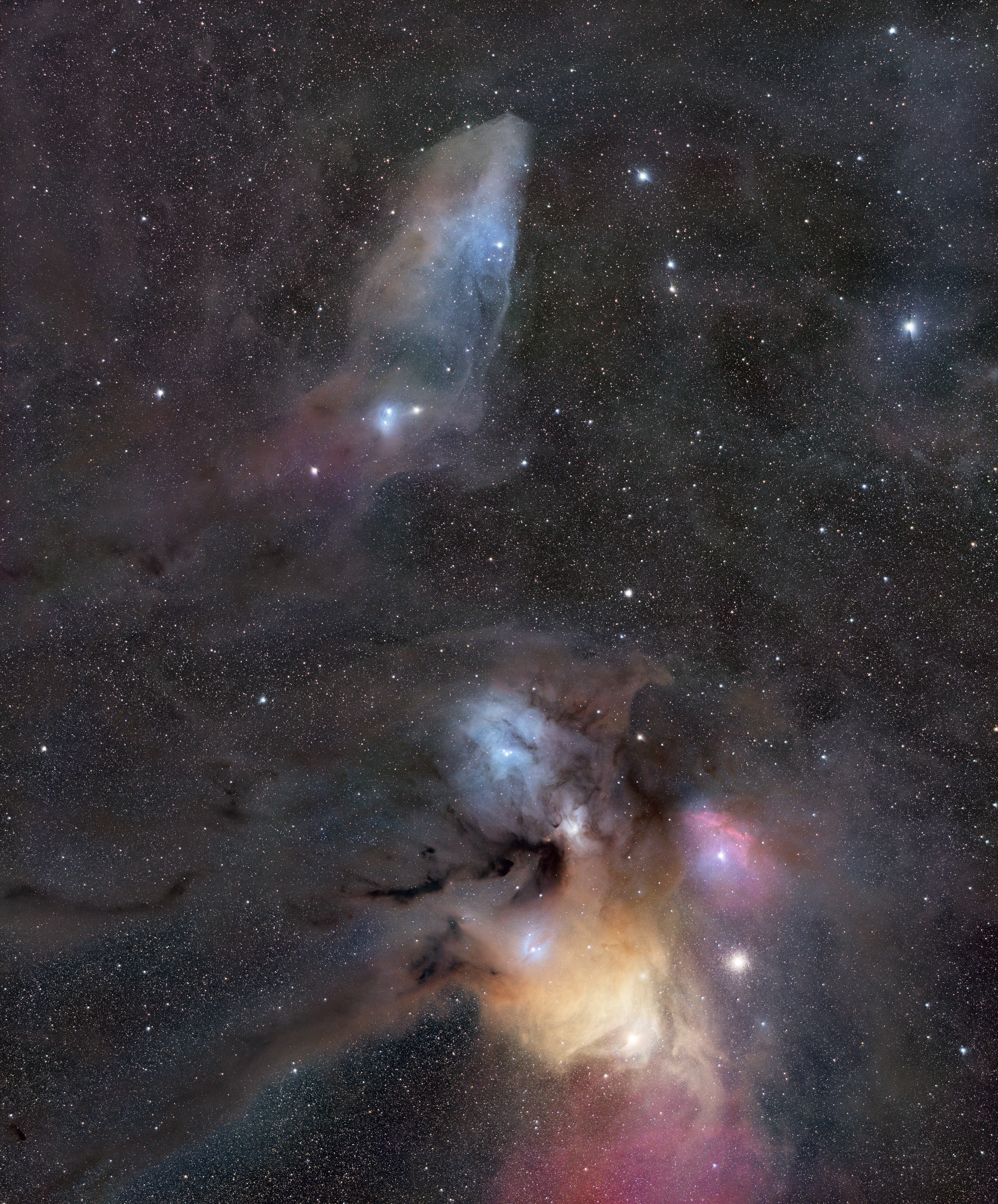 Astrophotograph of Rho by Hudson Reynolds.