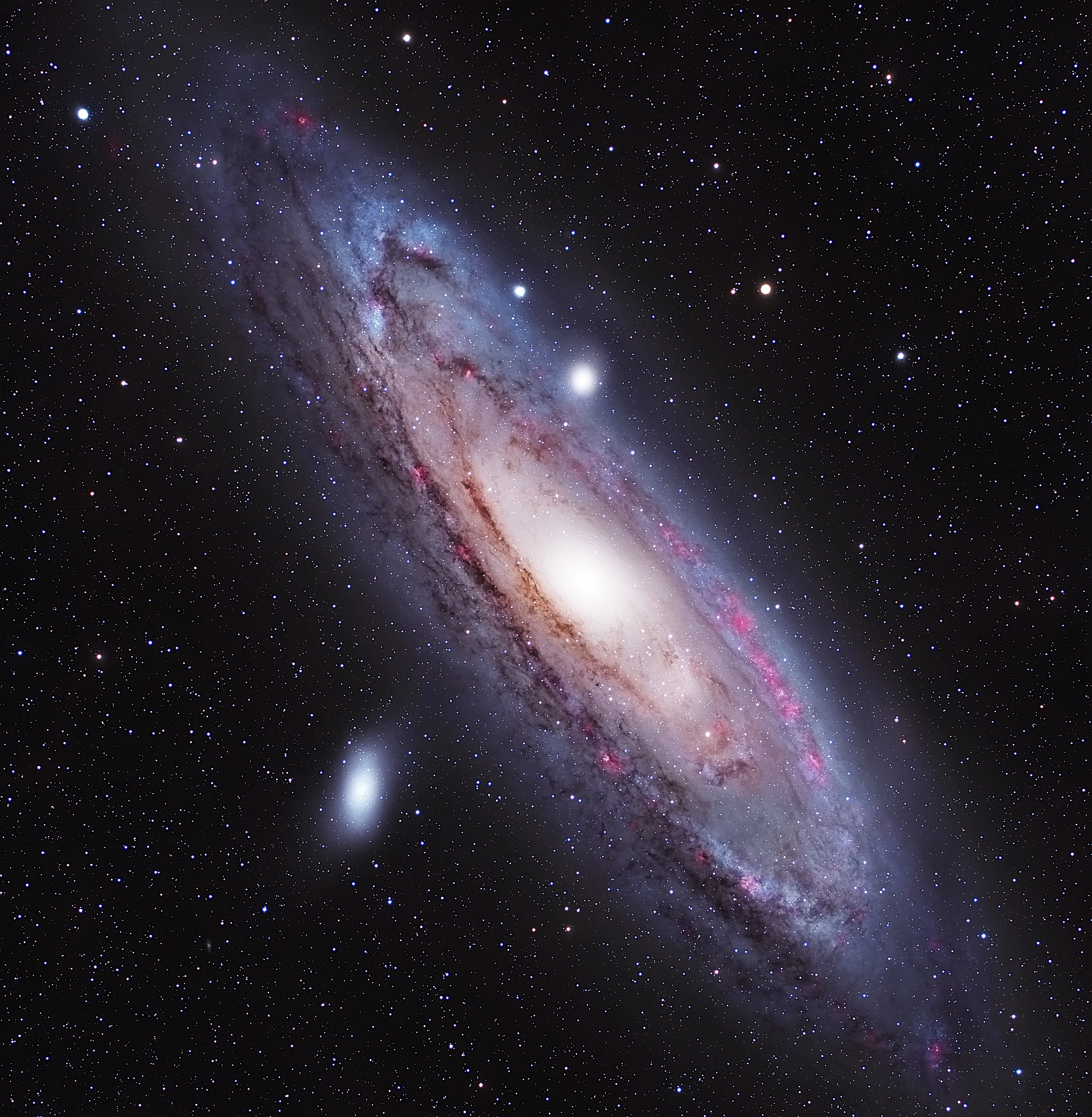 Astrophotograph of Andromeda Galaxy by Sam Guber.