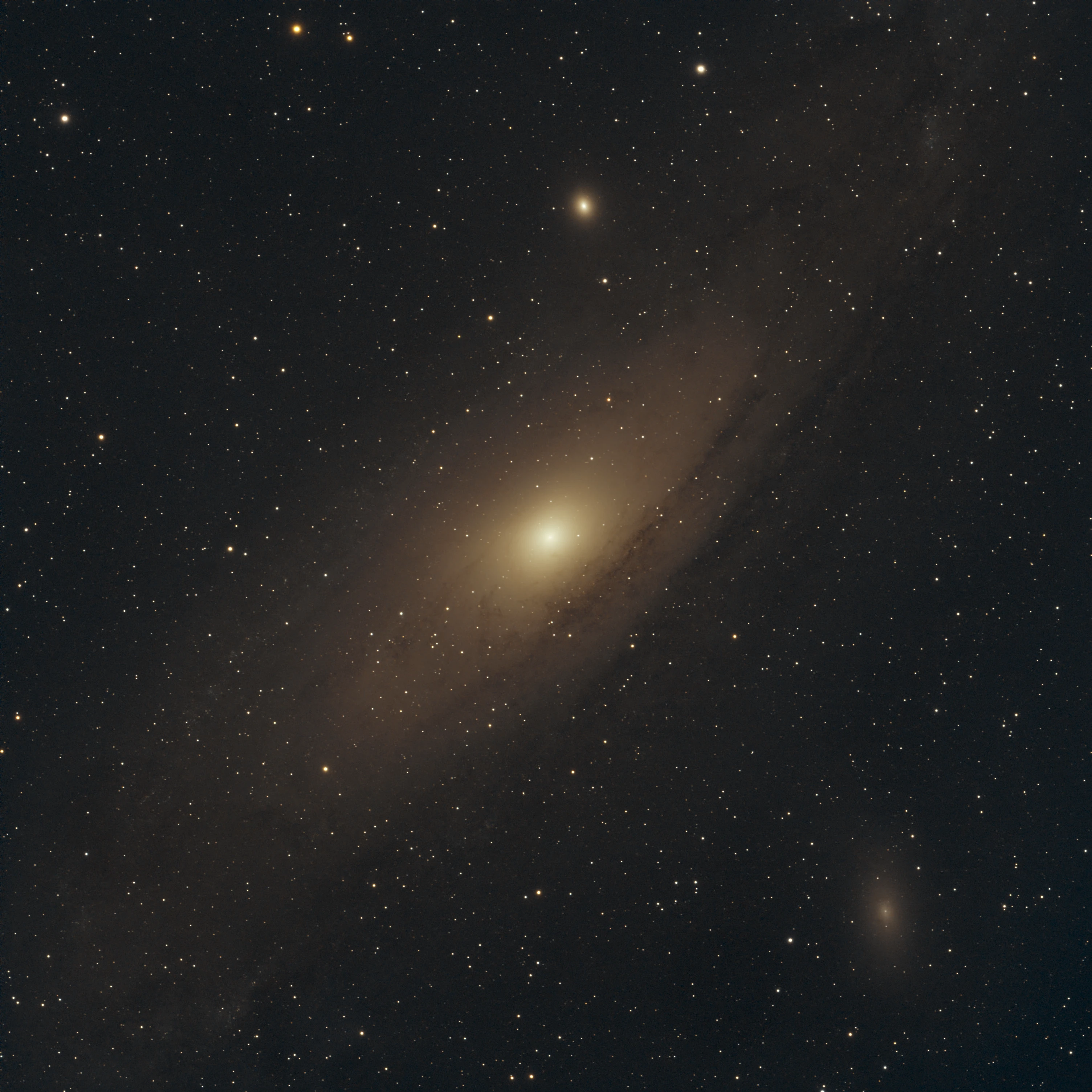 Astrophotograph of Andromeda by Selen Serdar.