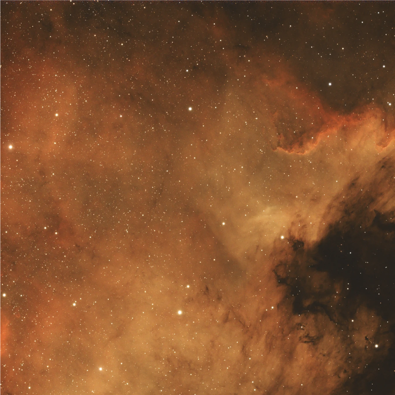 Astrophotograph of NGC7000 by Selen Serdar.