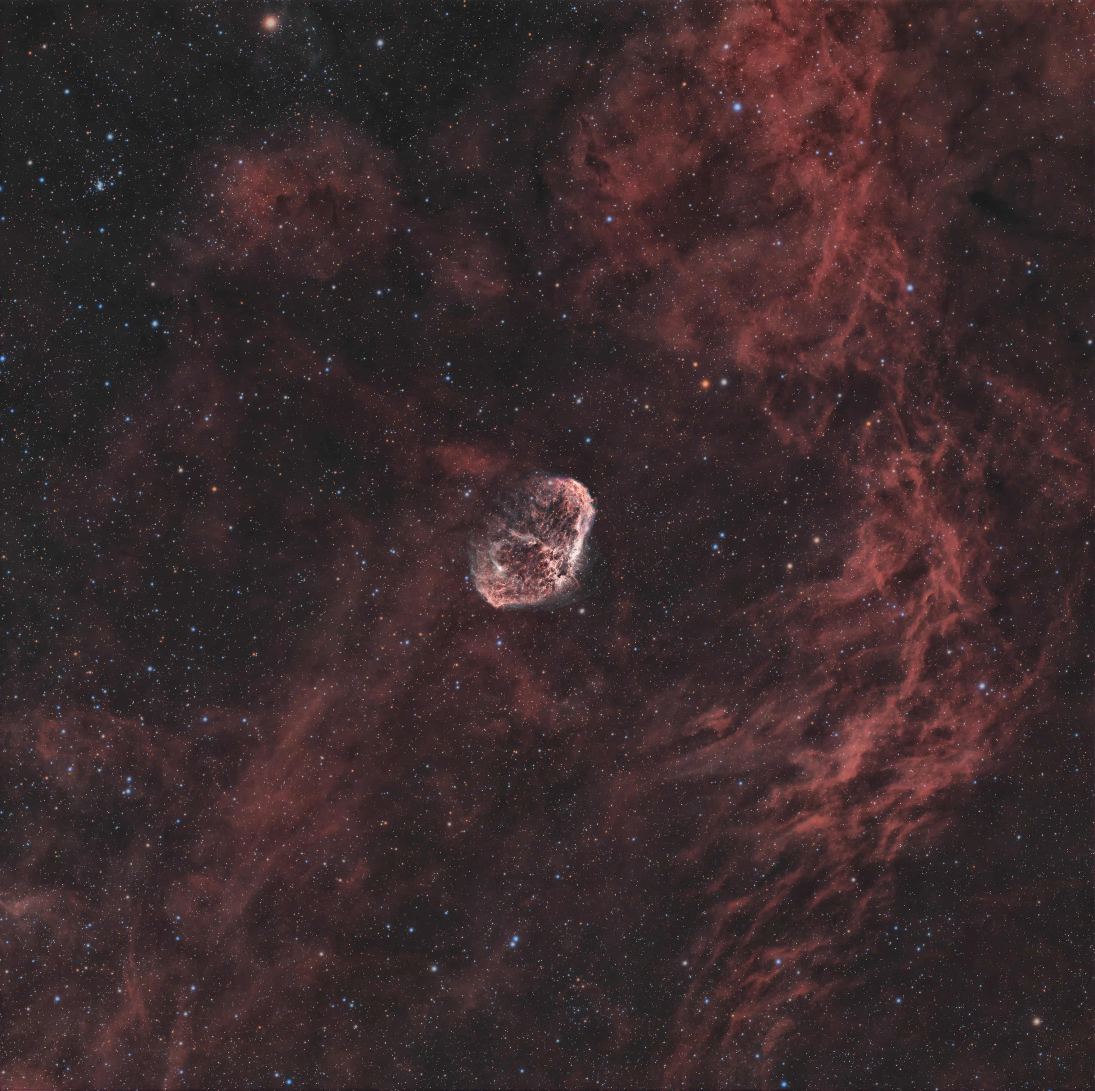 Astrophotograph of Crescent Nebula by Sam Guber.