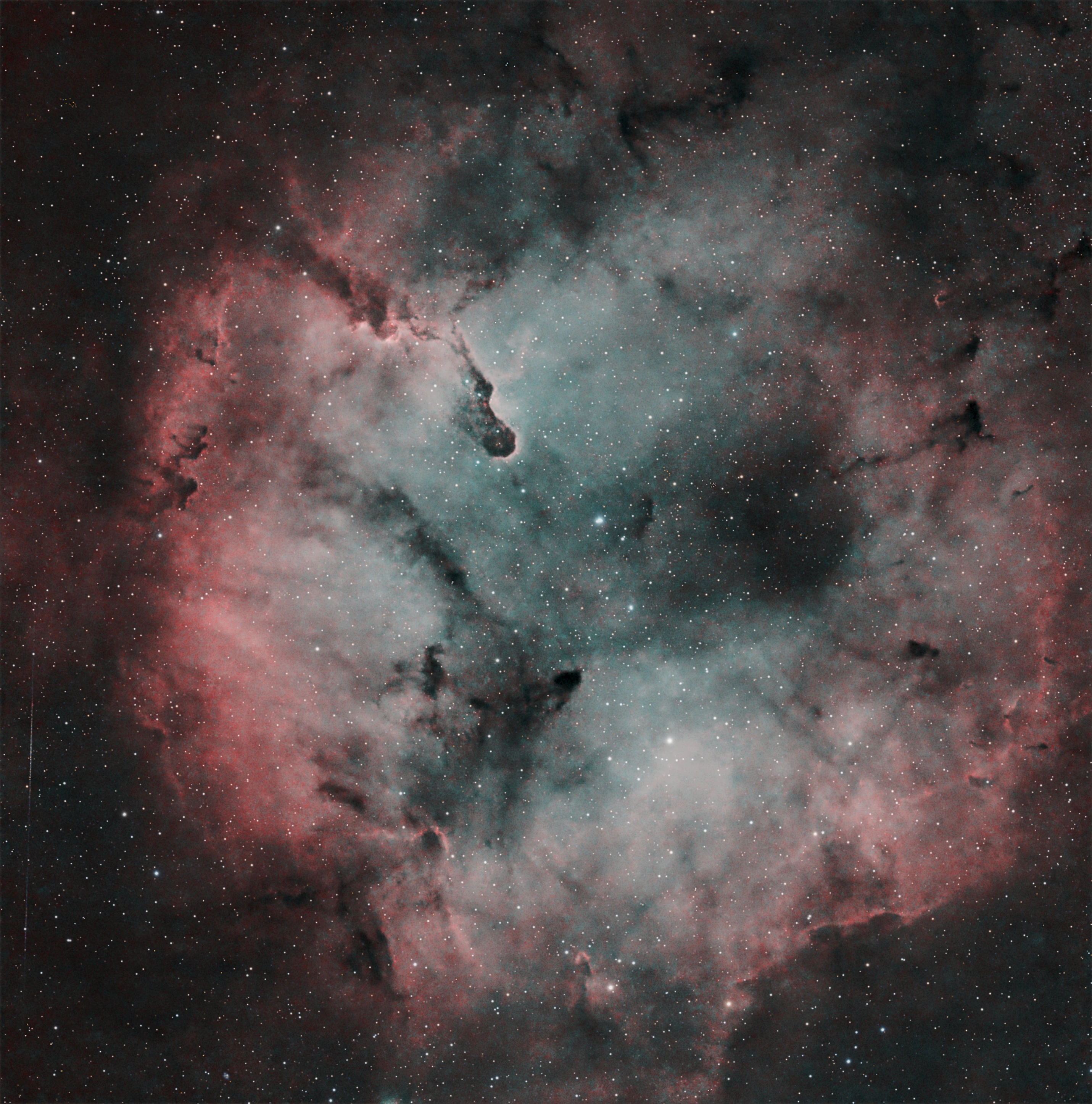 Astrophotograph of Elephants Trunk HOO by Seth Parcell.